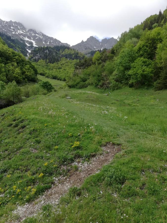 Haus Georg Apartman Innsbruck Kültér fotó